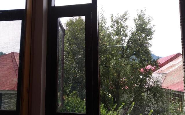 Hotel Sun N Snow Manali