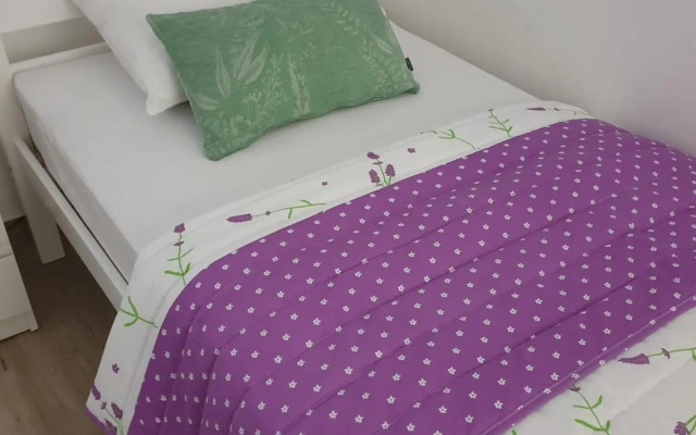 Ruža Apartmani Zadar