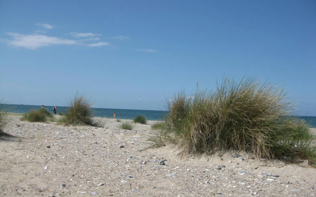 Ferienhof Christian und Antje Hopp