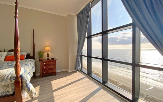 Ocean Forest 2309