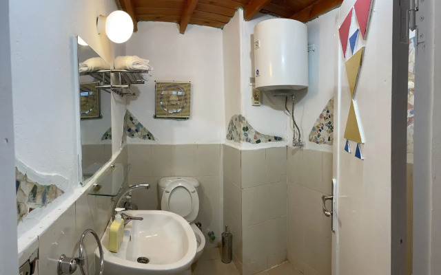 AnaKato2