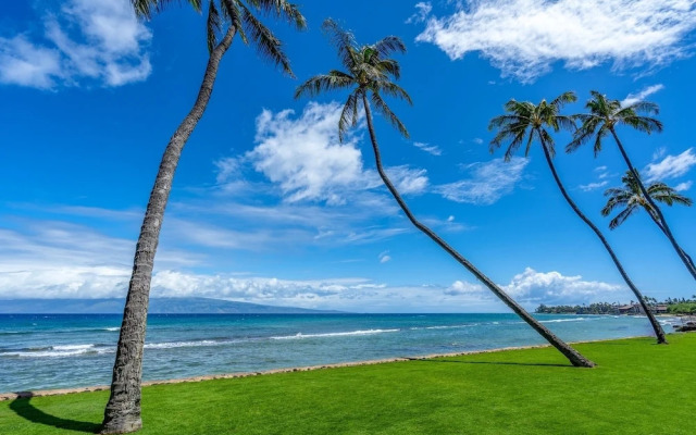 Papakea #l207 1 Bedroom 1 Bathroom Condo