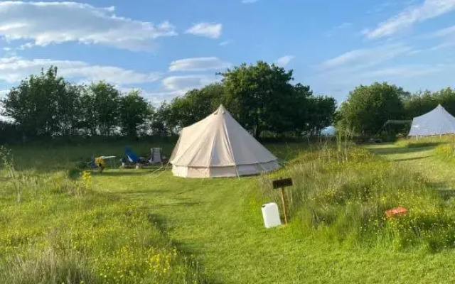 Daisy Bell Tent at Belan Bluebell Woods