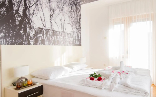 Luxury Apartments Taša