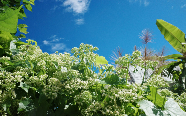 Errantry Lodge & Studio