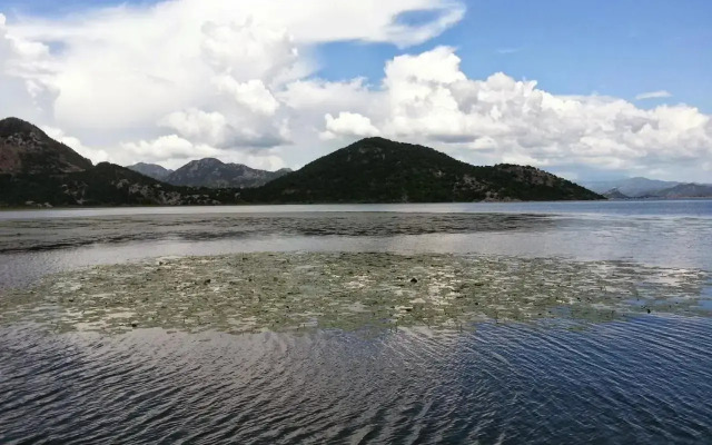 Guesthouse Skadar Lake