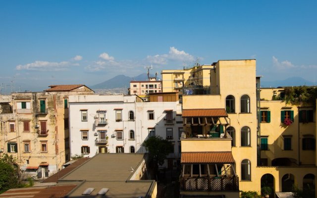 Panorama Vesuvius Central