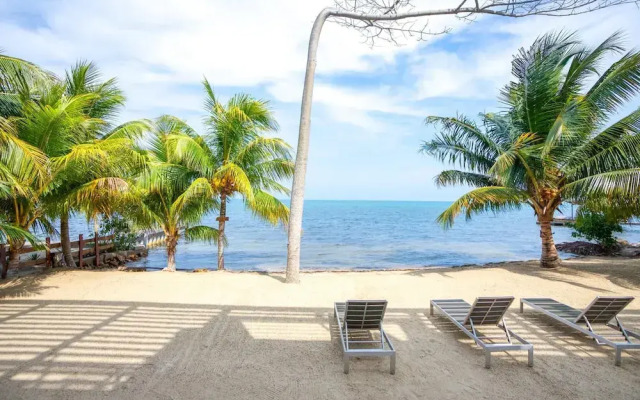 Oceanfront Sunset Gecko Condo - Second Floor 2A