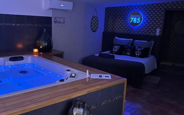 Chambre d h¿tes ind¿ndante Jacuzzi Cave Bar SUITE 785
