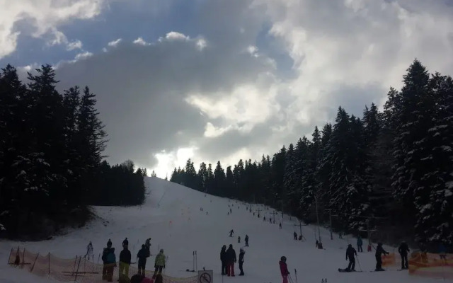 Ski-Lake Cottage Nízke Tatry