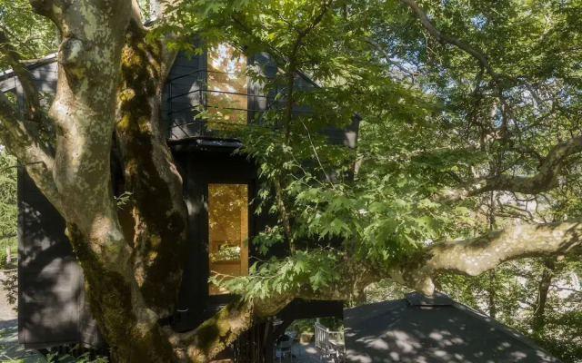 Aoos river Treehouse