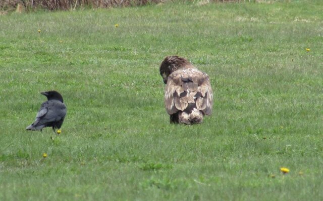 Seascape Coastal Retreat ADULTS ONLY