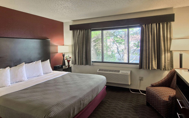 Blossom Hotel & Suites Traverse City