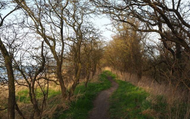 Lady and the Tramp Comfortable Vacation Home