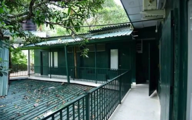 Pines Hut