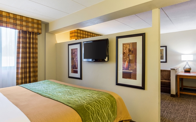 Comfort Inn & Suites Alexandria West