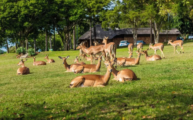 Kruger Park Lodge Unit No. 246