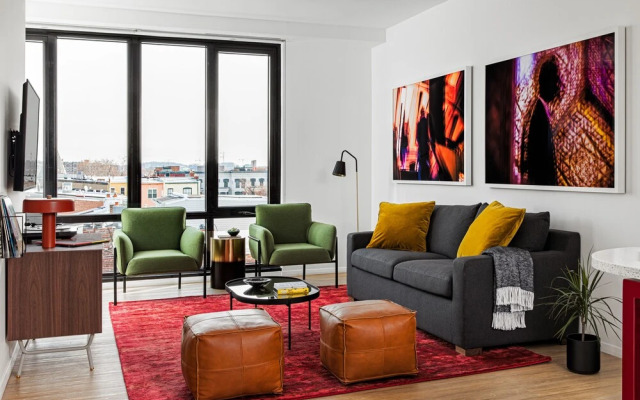 BLACK SWAN - Liz DC - Executive Flat