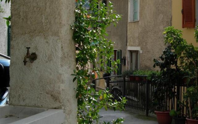 Cottage Pariana