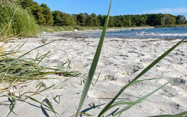 4 Star Holiday Home in Solvesborg-by Traum