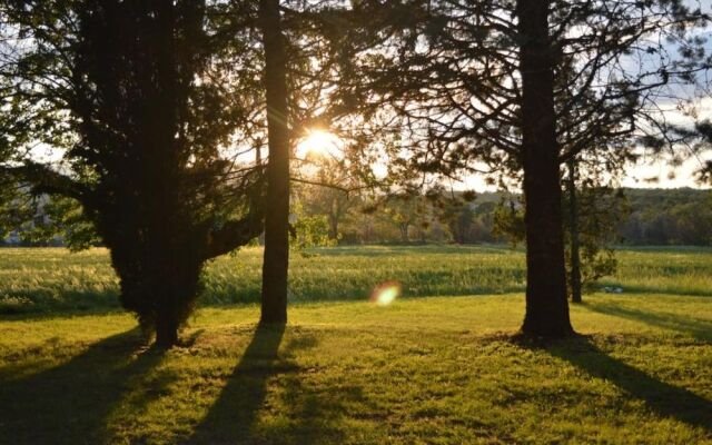 Les loups dans la bergerie