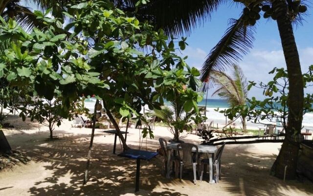 King Coconut Lodge