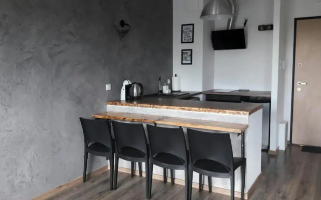 Silver Apartment in Wilanów