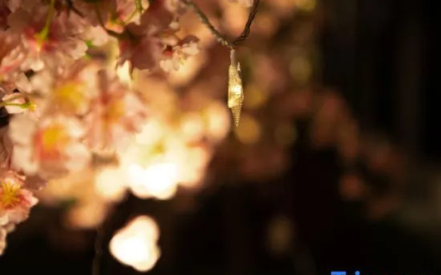 Xana Hotelle (Jingdezhen Taoxichuan Creative Plaza)