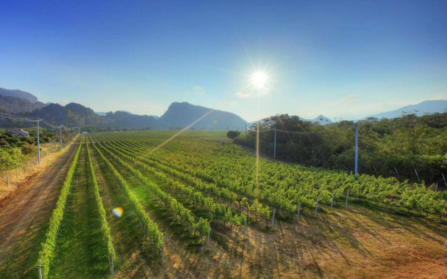 GRANMONTE Wine Cottage