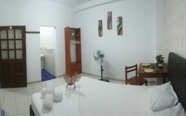 Iguana Haus