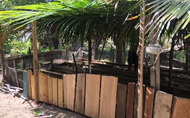 Jungle Jeanies Beach Cabanas
