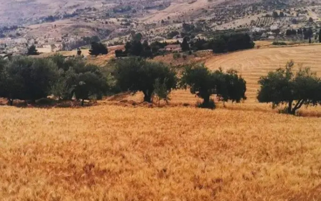 Villa Cirasa