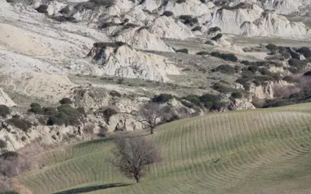 La Casa dell'Americano