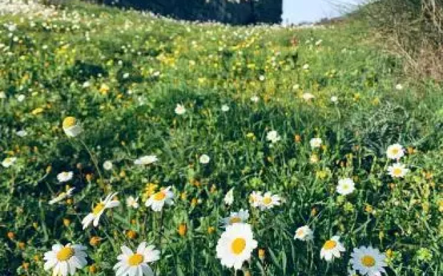 Guest House Lykourgos