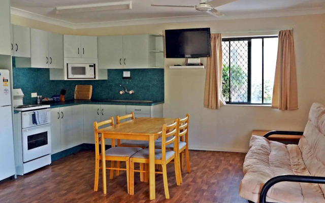 Driftwood On The Beach