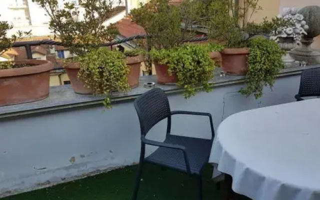 Roof Garden