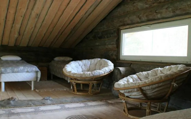 Сияние Севера