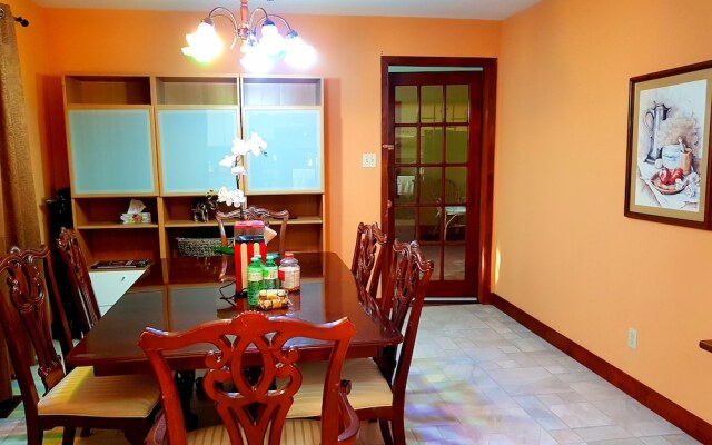 Hidden Bear Newmarket Getaway