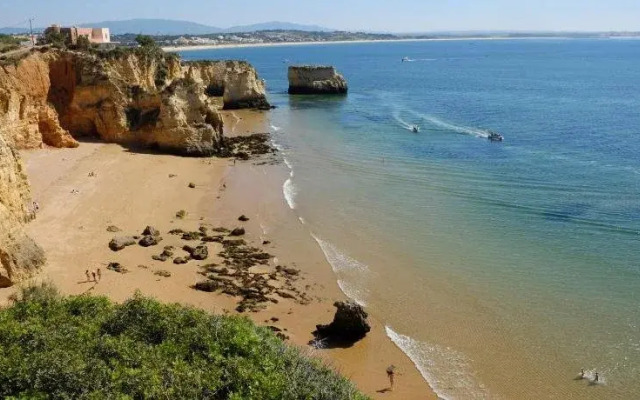 Apartamentos Pinhão