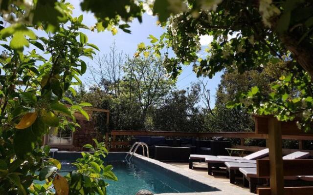 Les Hauts de Salvacintoggio