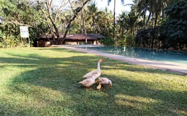 The Orchard Resort