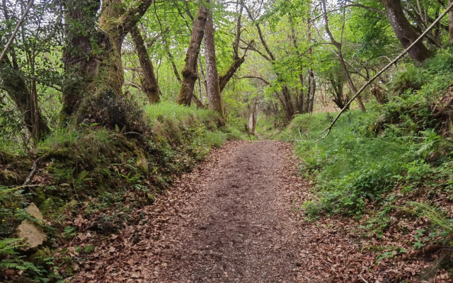 Piso amplio y luminoso, La Pomar