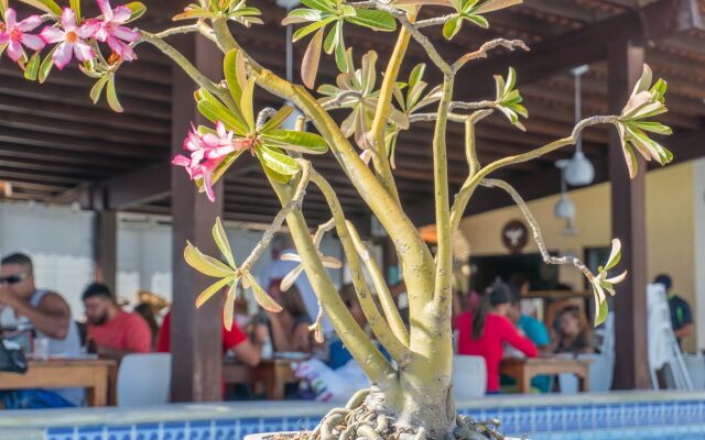 Kristie Resort