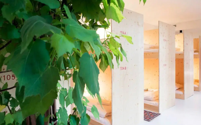 The Green Elephant Hostel & Spa