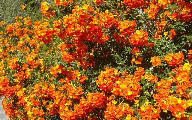 Villa Atlantico - beheizter Pool, Sauna