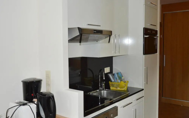 Studio Apartment in Alps Near Ski Station