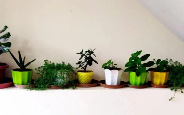 Aamantran Stays Shimla