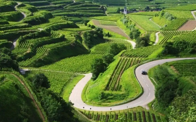 Savoir Vivre Modern Retreat