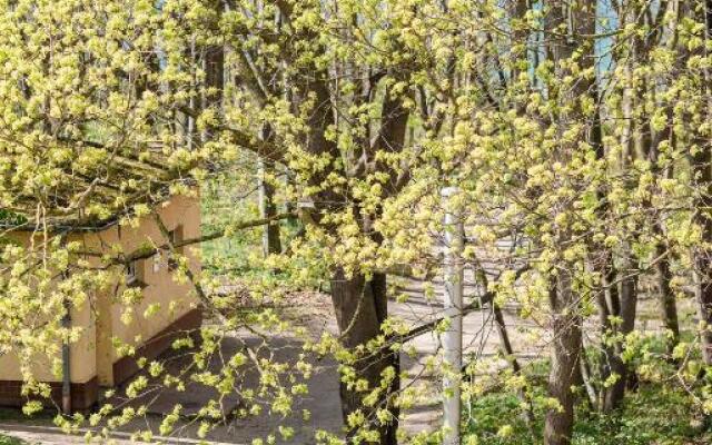 Traumhafte Wohnung mit Sauna - 100m vom Strand