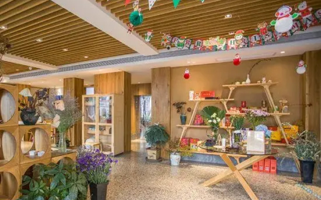 Ginkgo No.8 Homestay